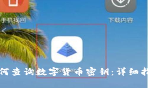 如何查询数字货币密钥：详细指南